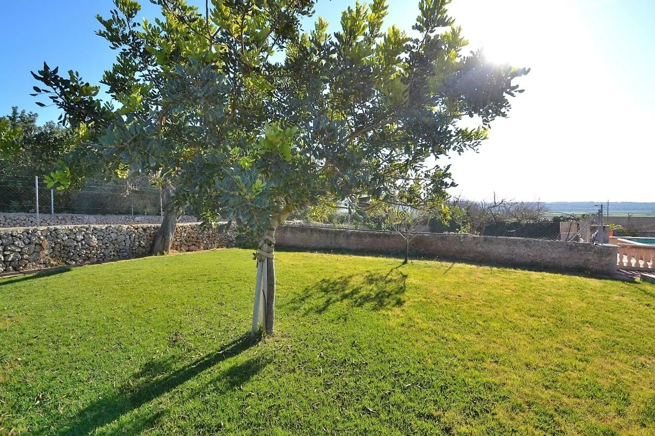 078 Finca Sa Rota Vt1953 By Mallorca Charme Ariany